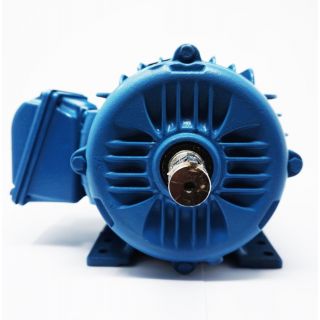 Motor trifásico 2 Hp Weg