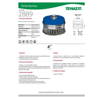 Carda Tipo Copa Trenzado 4-3/4" x 0.020" x M14-2 2889 Austromex