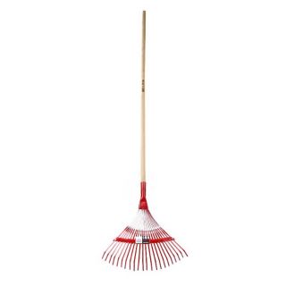 Escoba de 22 dientes 3041-CM Bellota